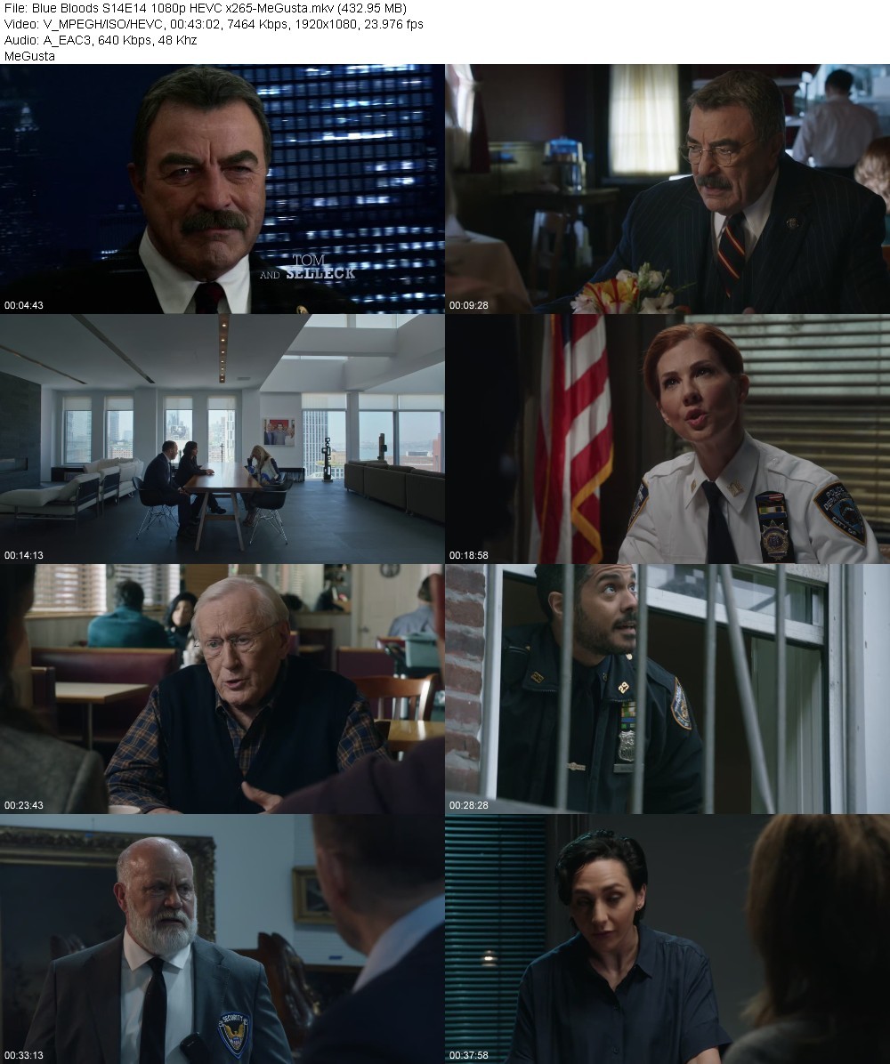 Blue Bloods S14E14 1080p HEVC x265-MeGusta