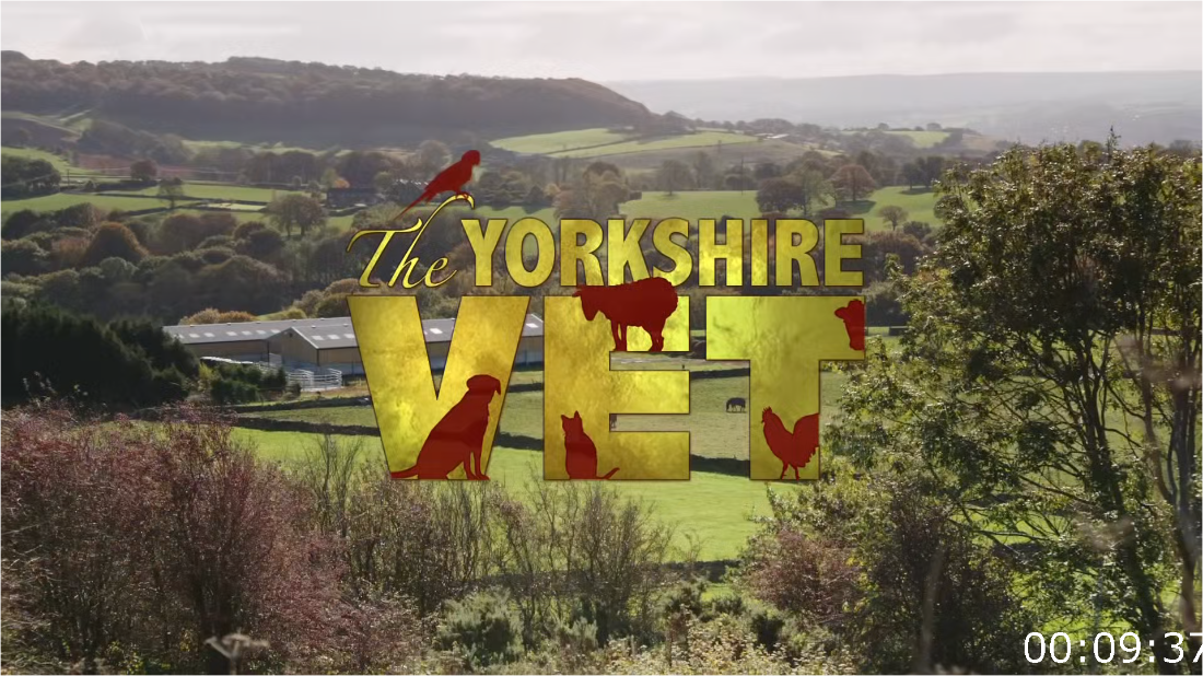 The Yorkshire Vet S18E10 [1080p] (x265) YsMa8emz_o