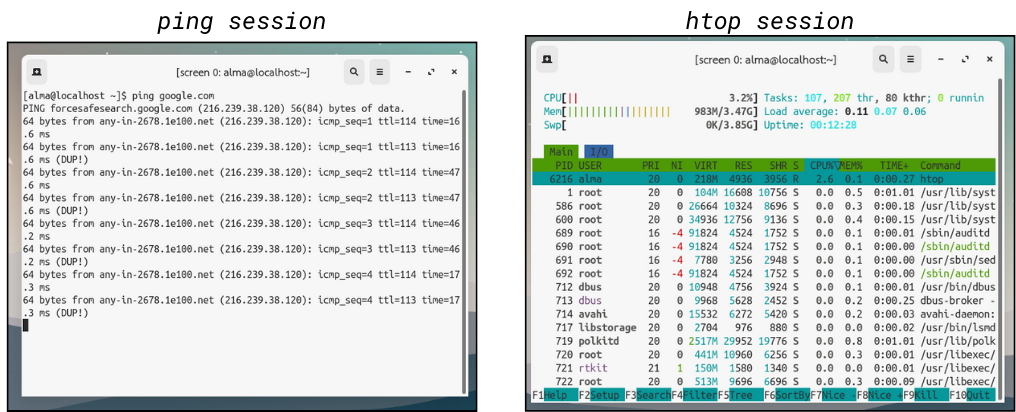 image host