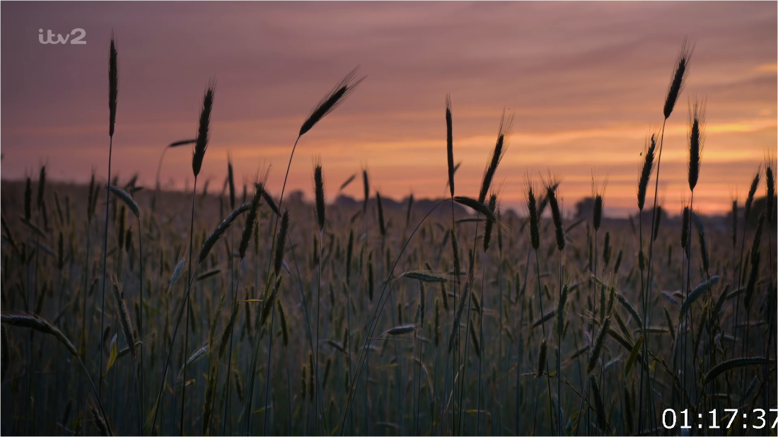 ITV Unwind Isles Of Scilly [1080p] HDTV (x265) 2ygz48NX_o