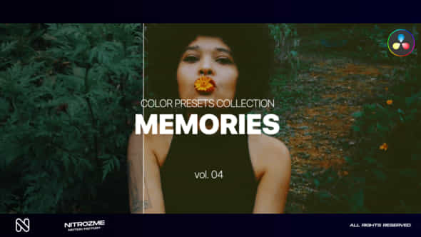 Memories LUT Collection - VideoHive 48141161