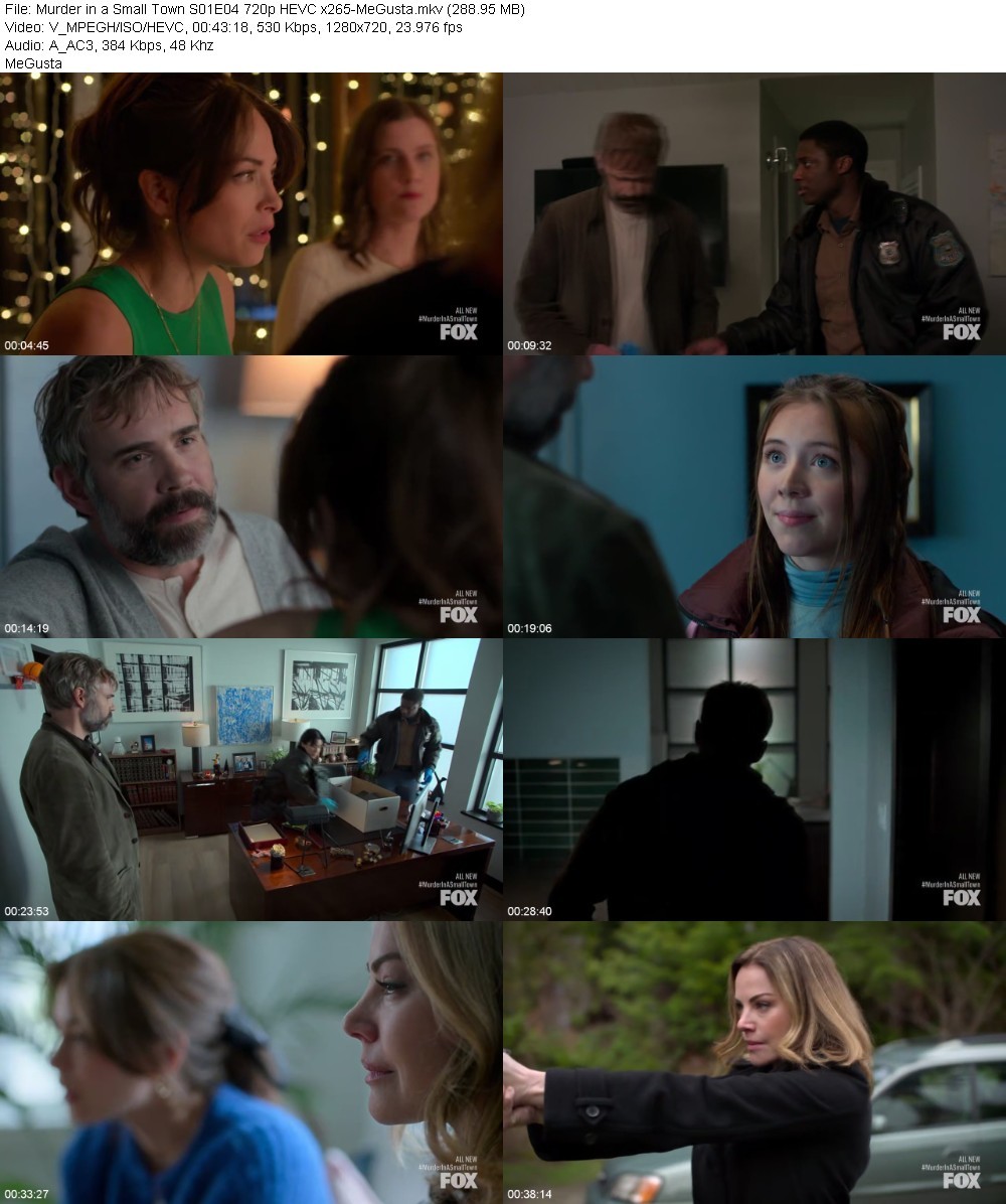 Murder in a Small Town S01E04 720p HEVC x265-MeGusta