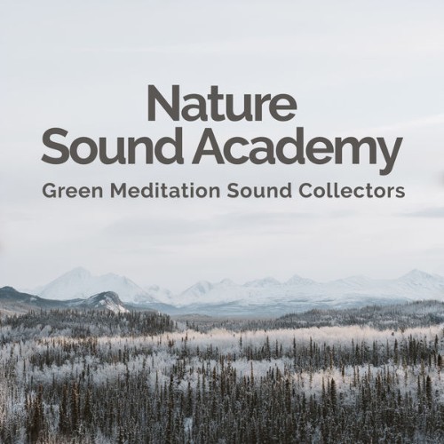 Green Meditation Sound Collectors - Nature Sound Academy - 2019