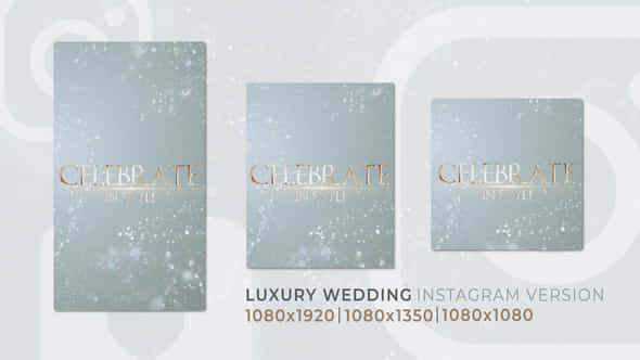 Luxury Wedding Romantic Love Instagram Reel - VideoHive 56955388