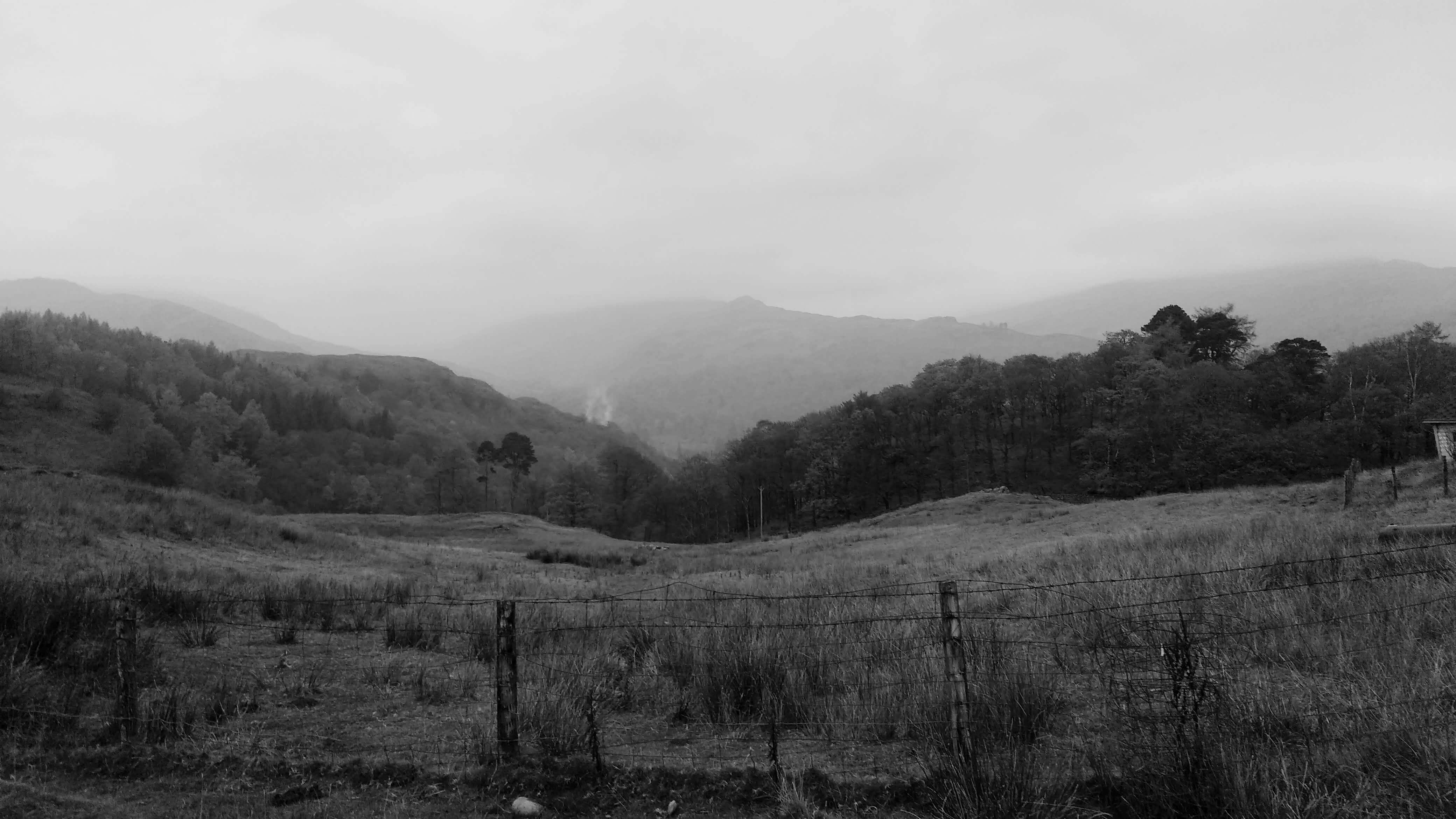 A field behind a barbed wire fence