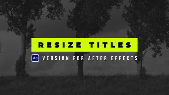 Resize Titles - VideoHive 44316106