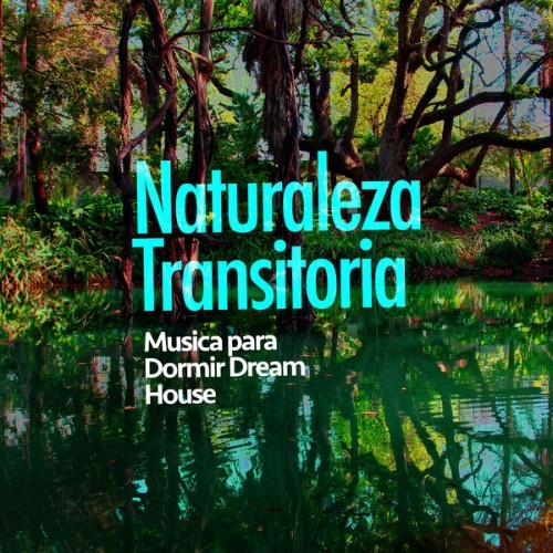 Musica para Dormir Dream House - Naturaleza Transitoria - 2019