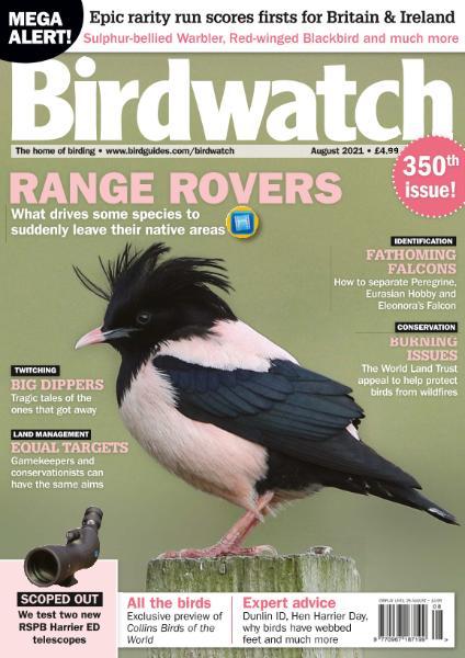 Birdwatch UK August 2021