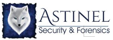Astinel Security & Forensics