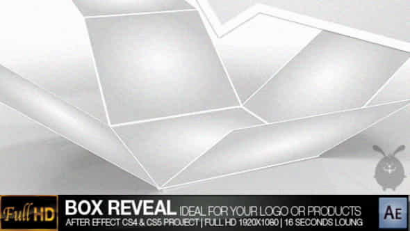 Box Reveal - VideoHive 234832