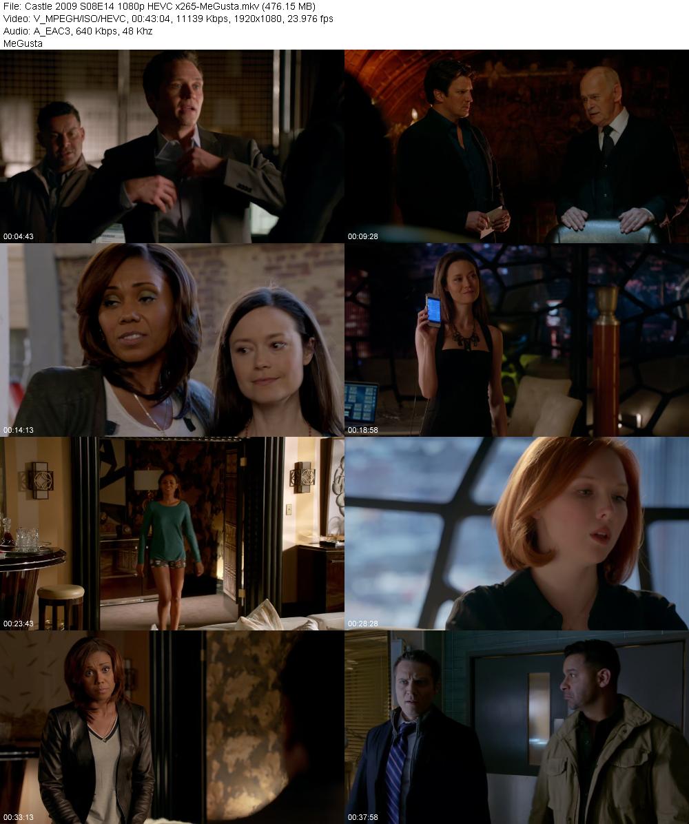 Castle 2009 S08E14 1080p HEVC x265 MeGusta