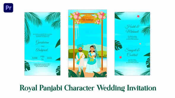 Royal Punjabi Wedding Invitation Card Instagram Story - VideoHive 49758490