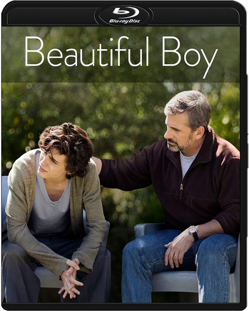 Mój piękny syn / Beautiful Boy (2018) MULTi.1080p.BluRay.x264.DTS.AC3-DENDA / LEKTOR i NAPISY PL