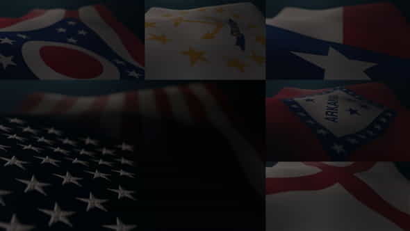 Flag of 50 States and - VideoHive 27343868