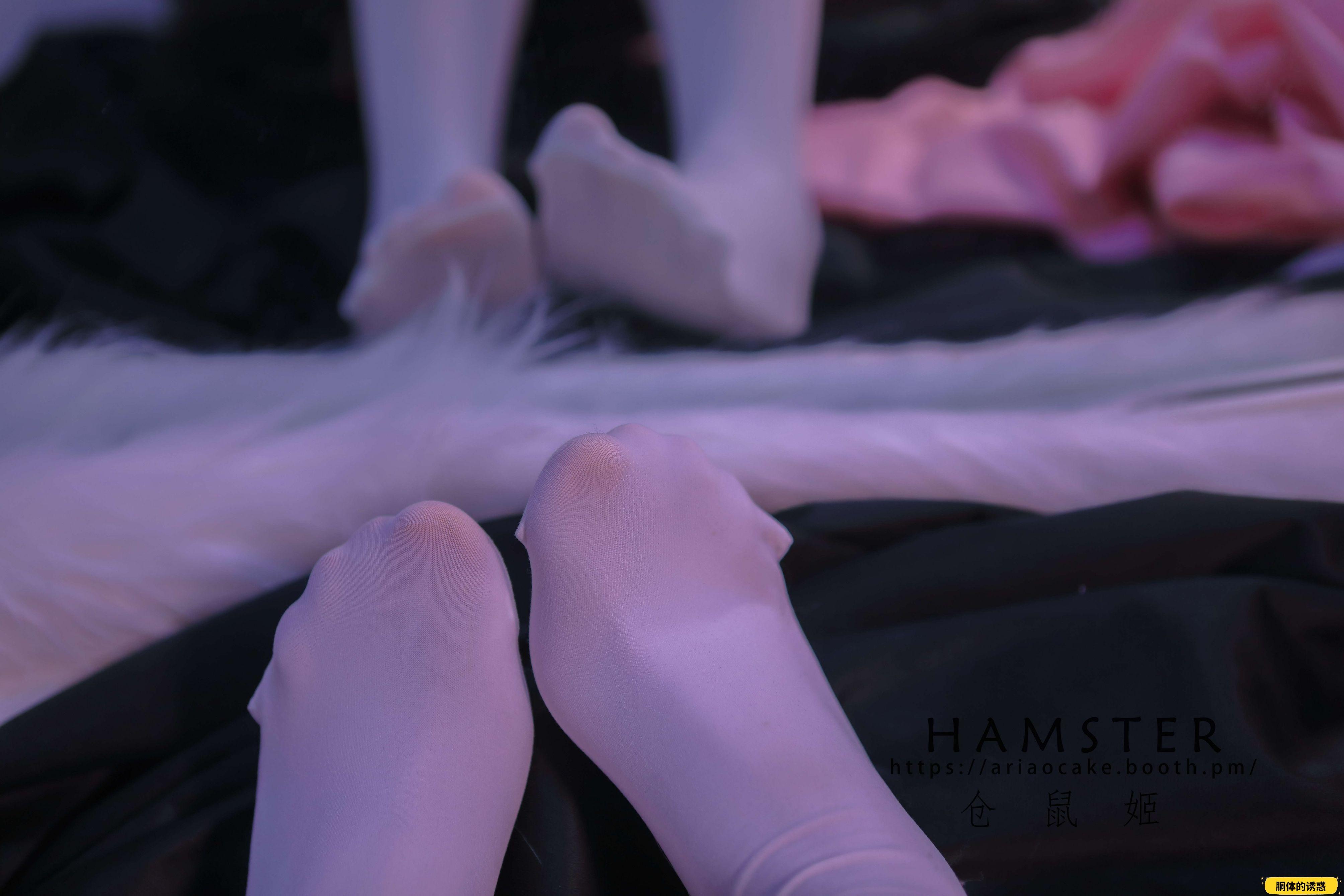 HAMSTERS 仓鼠姬 - NO.005 VOL.02 居家女友2 [34P-38MB]