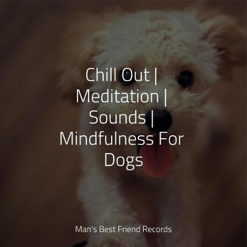 Jazz Music for Dogs - Chill Out  Meditation  Sounds  Mindfulness For Dogs - 2022