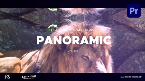 Light Leaks Panoramic - VideoHive 46211497