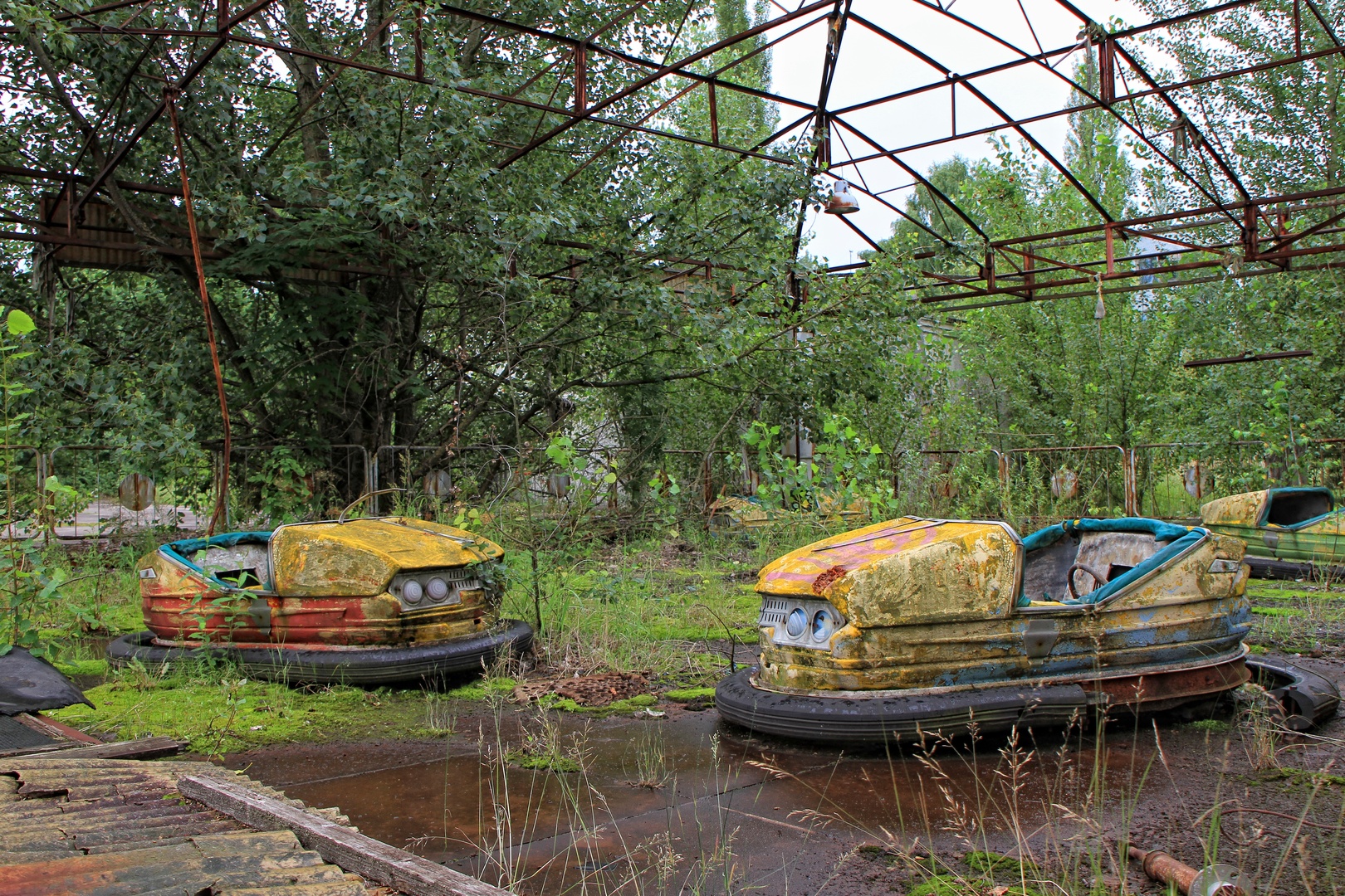 Rusting dodgems in abandoned amusement park overtaken by nature