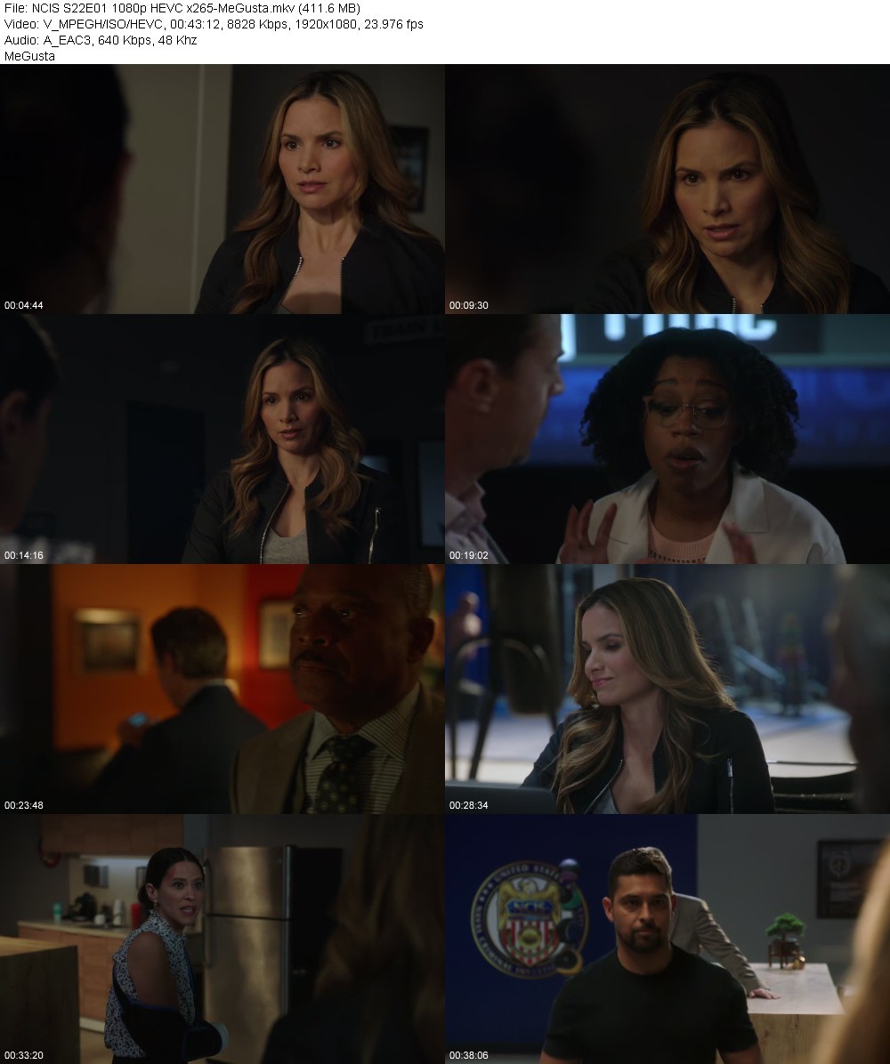 NCIS S22E01 1080p HEVC x265-MeGusta