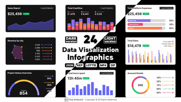 Data Visualization Lottie Infographics - VideoHive 50253924