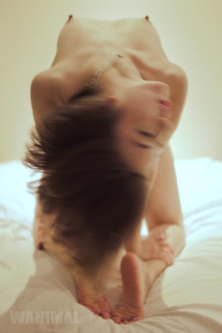 [WANIMAL王動系列] Photo Collections Set.25 北京“故宮門”(39)