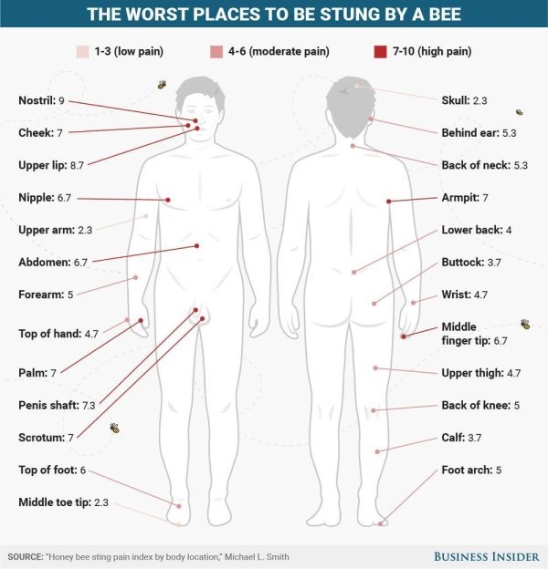 FACTS YOU DIDN'T WANT TO KNOW...25 ZN9kV7eO_o