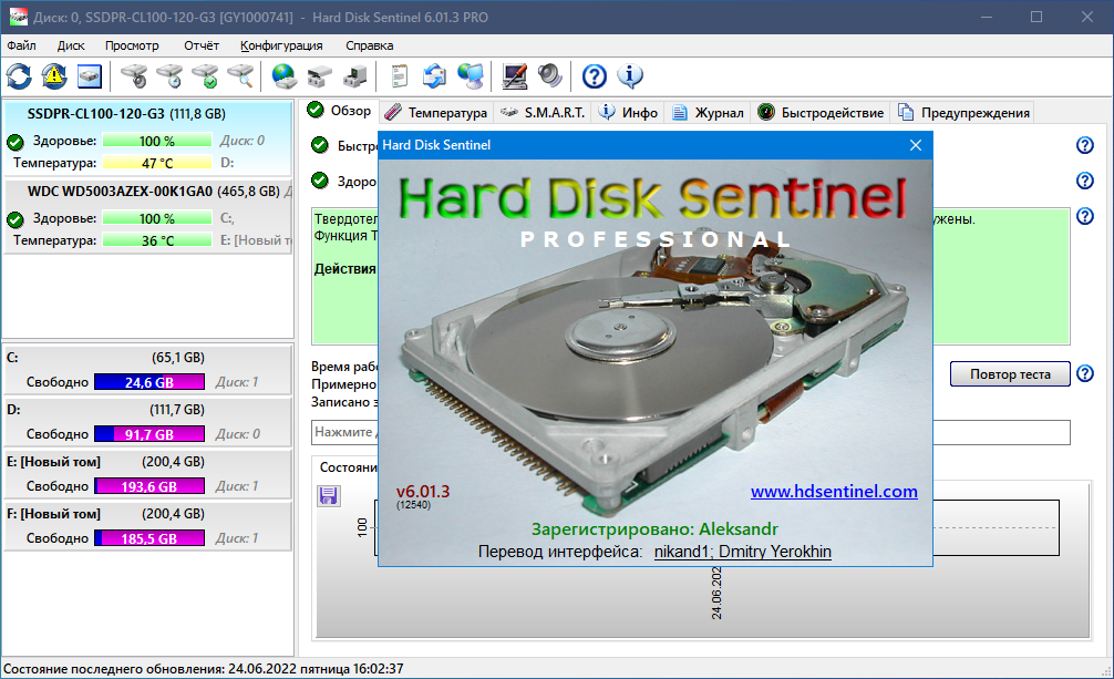 Hard Disk Sentinel Pro 6.01.3 Build 12540 Beta [Multi/Ru]