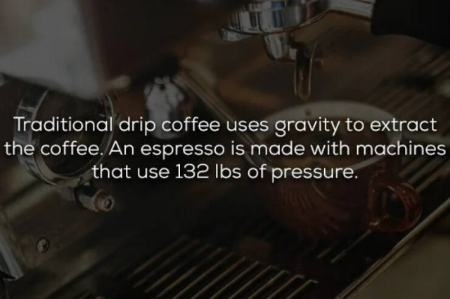 COFFEE FACTS 9YaPjGNc_o