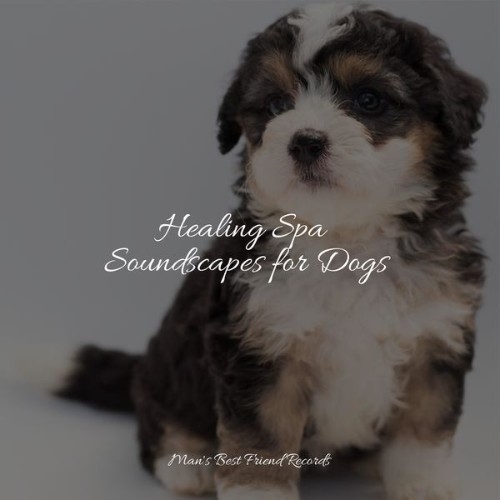 Music for Pets Library - Healing Spa Soundscapes for Dogs - 2022
