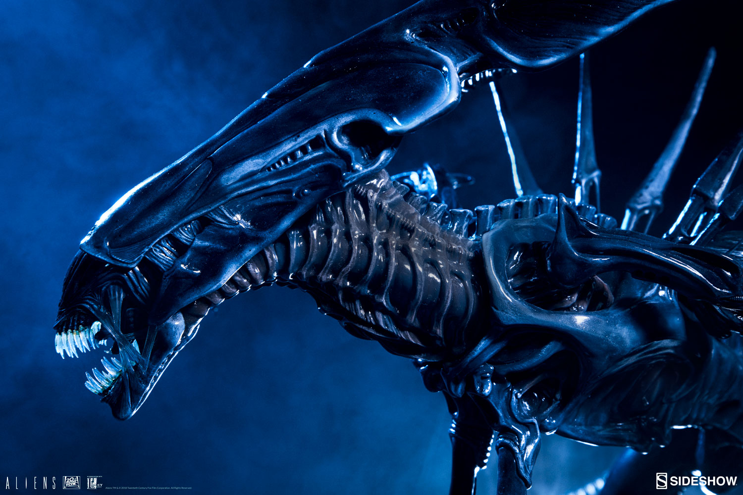 The Alien Queen (SideShow) RocW8Xs3_o