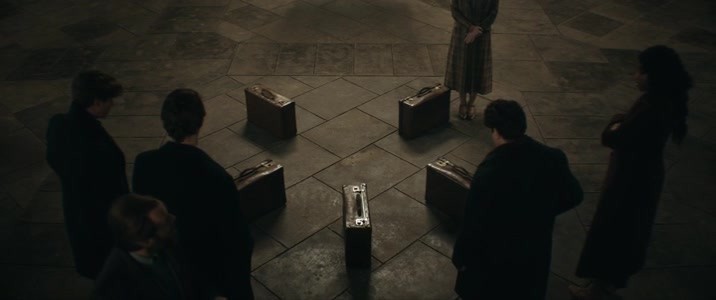 Fantastic Beasts The Secrets of Dumbledore 2022 BRRip XviD AC3-EVO