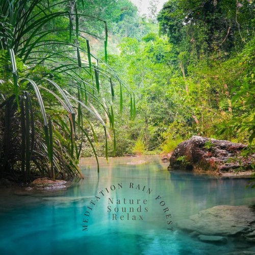 Nature Sounds Relax - Meditation Rain Forest - 2021