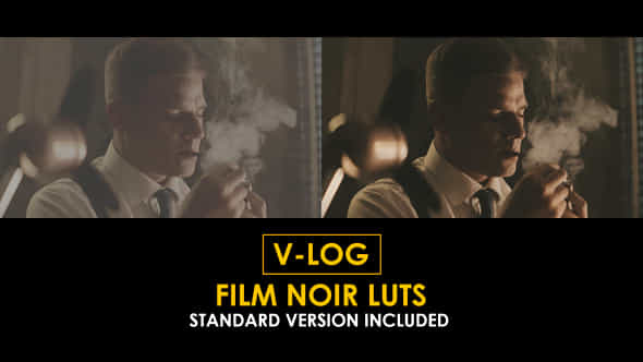 Vlog Film Noir And Standard Color Luts - VideoHive 51378503