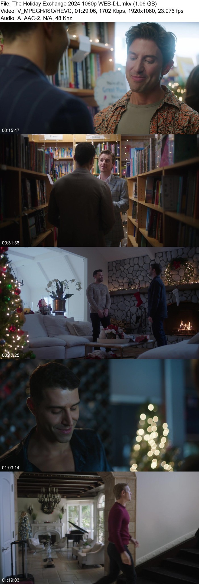 The Holiday Exchange (2024) 1080p WEB-DL OrDXLMy3_o