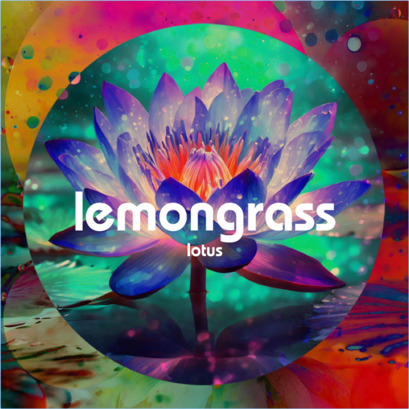 Lemongrass Lotus (2024) 16Bit 44 1kHz [FLAC] HqsIpR8j_o