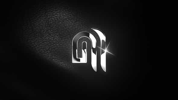 Elegant Leather Logo - VideoHive 34000480
