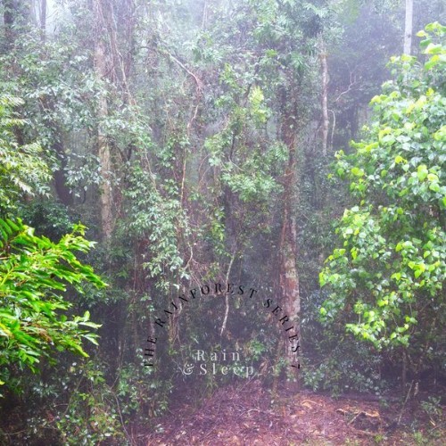 Rain & Sleep - The Rainforest Series 7 - 2021