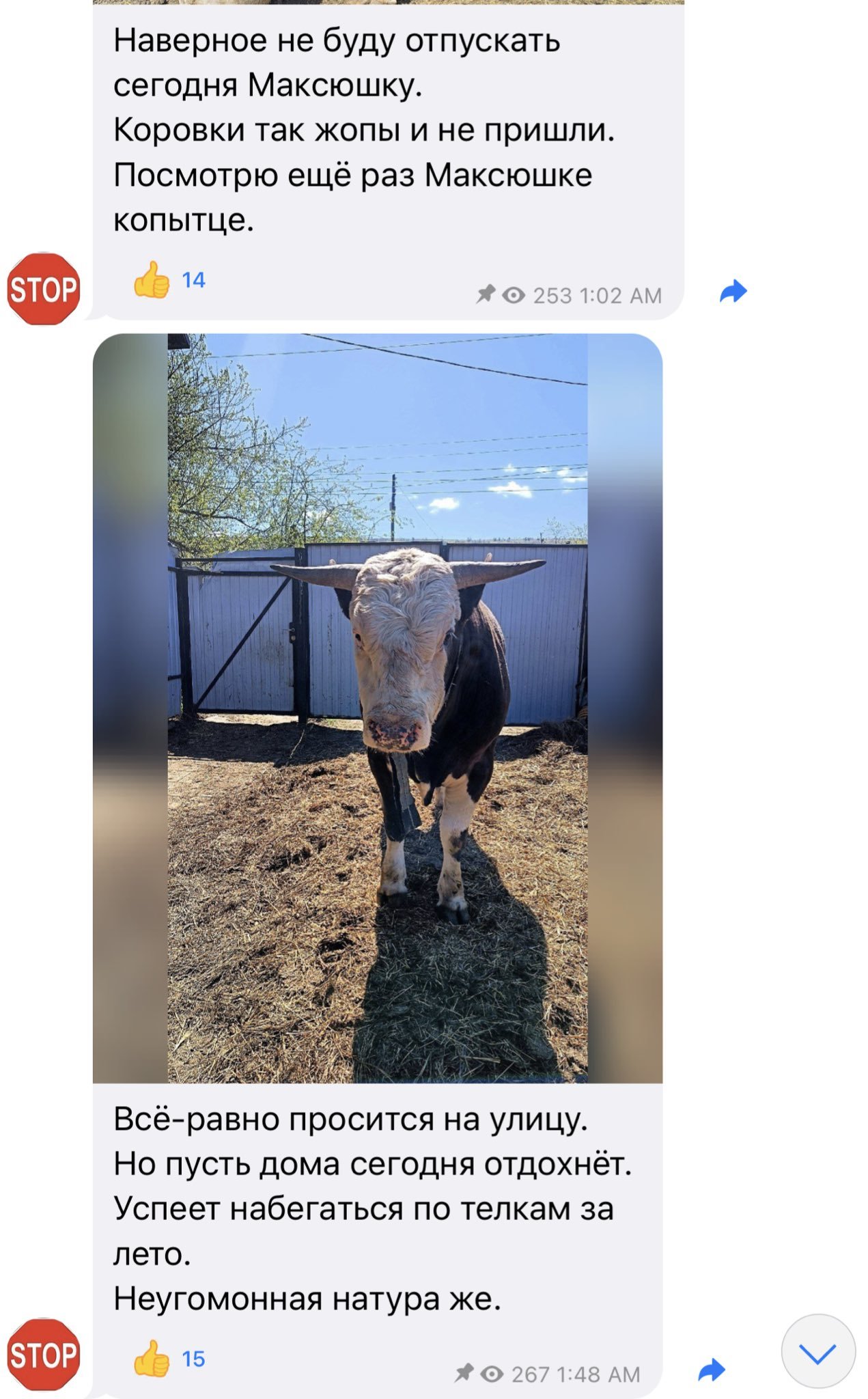 SrCJuFa7_o.jpeg