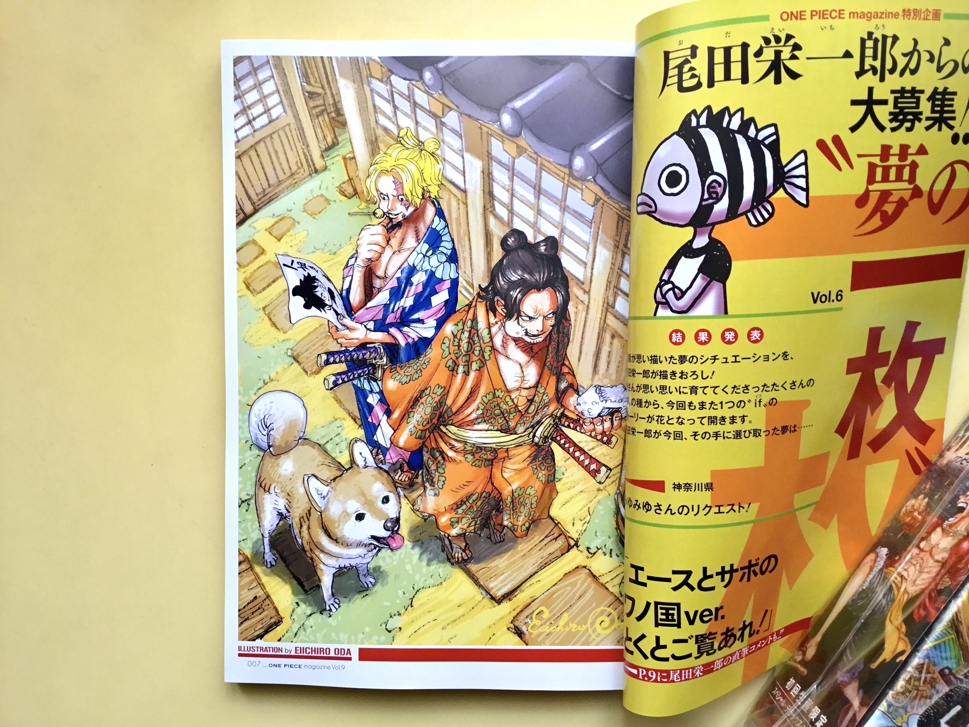 ONE PIECE Episode A Vol.1-2 Boichi Eiichiro Oda Ace JUMP Comic Manga Book  Japan