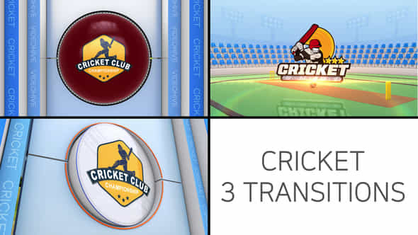 Cricket Logo Transition - VideoHive 48650978