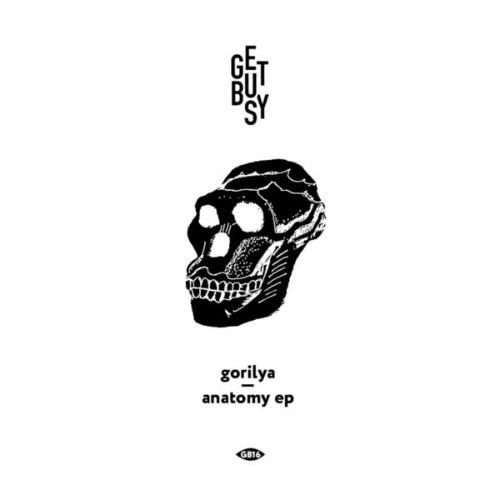 gorilya - Anatomy - 2016