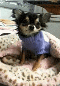 YDVue9Pc_o.gif