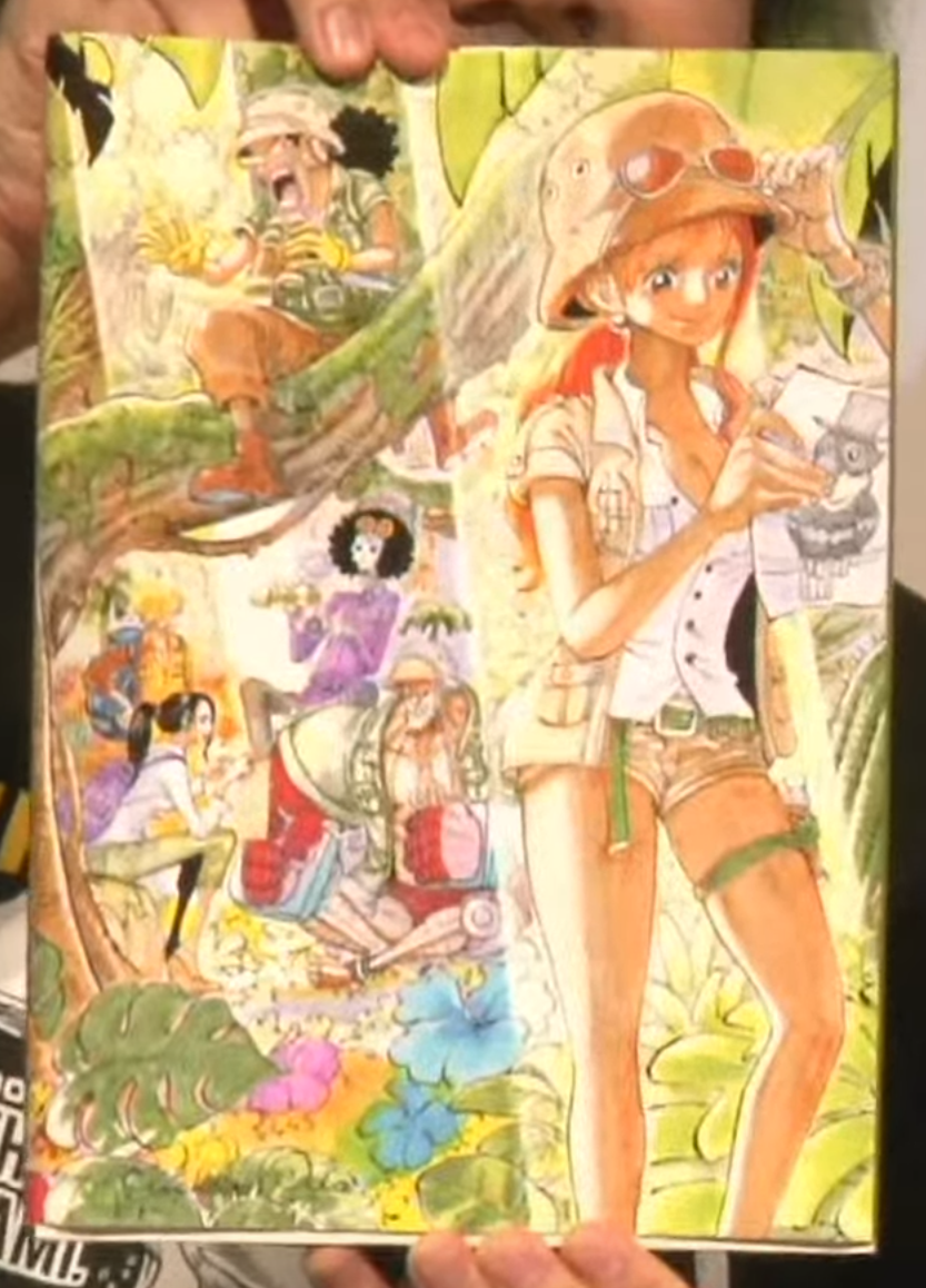 One Piece Color Walk 9 - TIGER Art Book