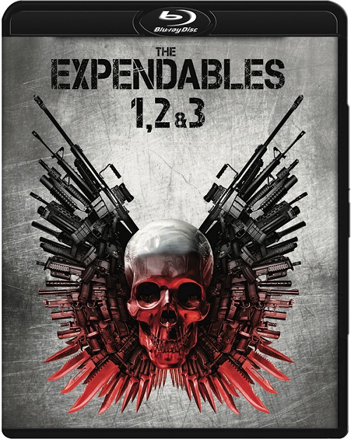 Niezniszczalni / The Expendables (2010-2014) COLLECTION.MULTi.1080p.BluRay.x264.DTS-DENDA / LEKTOR i NAPISY PL