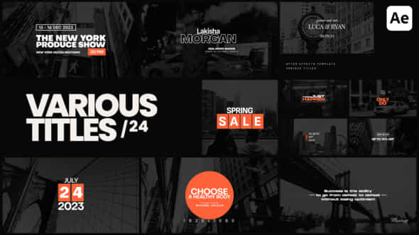 Various Titles 24 - VideoHive 46418086