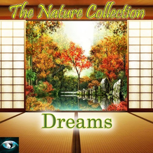 Costanzo - The Nature Collection Dreams - 2013