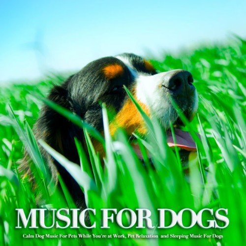 Dog Music - Music For Dogs Calm Dog Music For Pets While You're at Work, Pet Relaxation  and Slee...