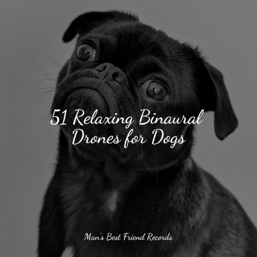 Music for Pets Library - 51 Relaxing Binaural Drones for Dogs - 2022