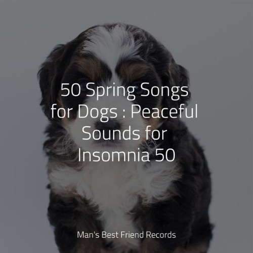 Music for Dog's Ear - 50 Spring Songs for Dogs  Peaceful Sounds for Insomnia 50 - 2022