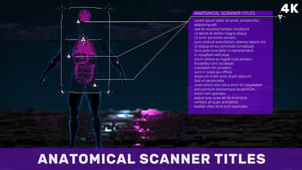 Anatomical Scanner Titles - VideoHive 39729158
